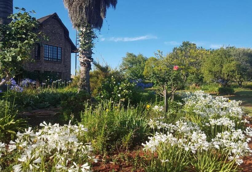 Пансион Myaula