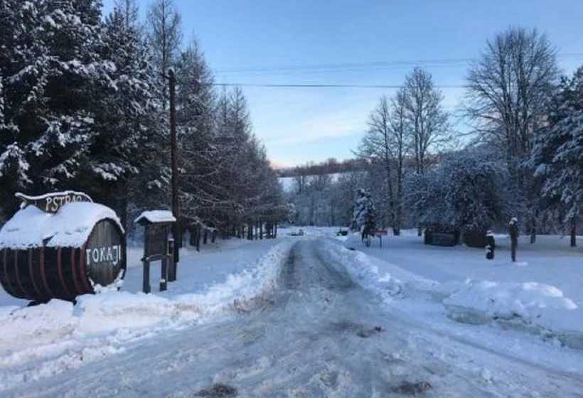 بنسيون Latarnia Wagabundy