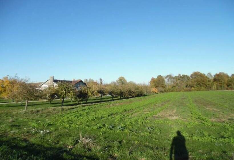 ペンション Perle De L Aube