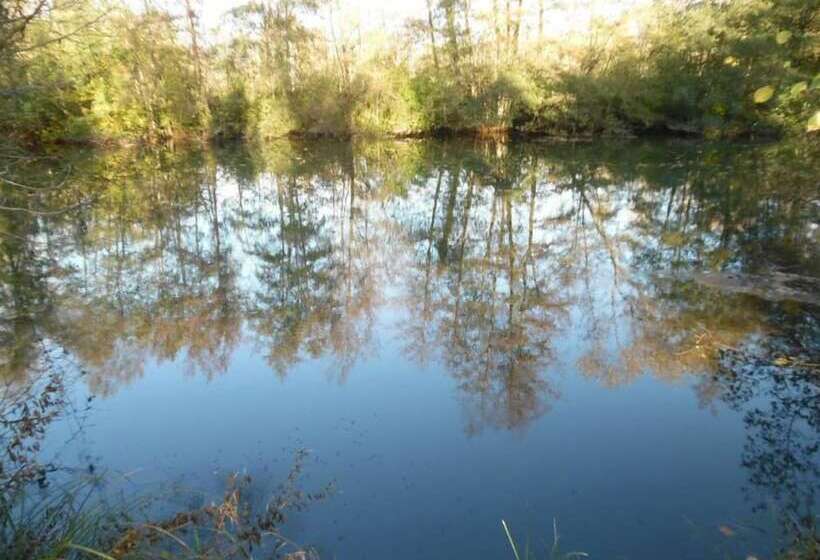 ペンション Perle De L Aube