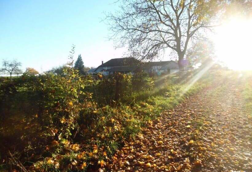 ペンション Perle De L Aube