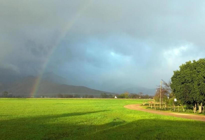 بنسيون Rawsonville House