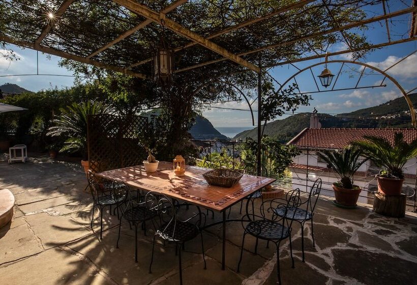 펜션 Villa Amalia Resort