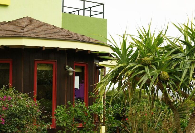 بنسيون Villa Yurimun