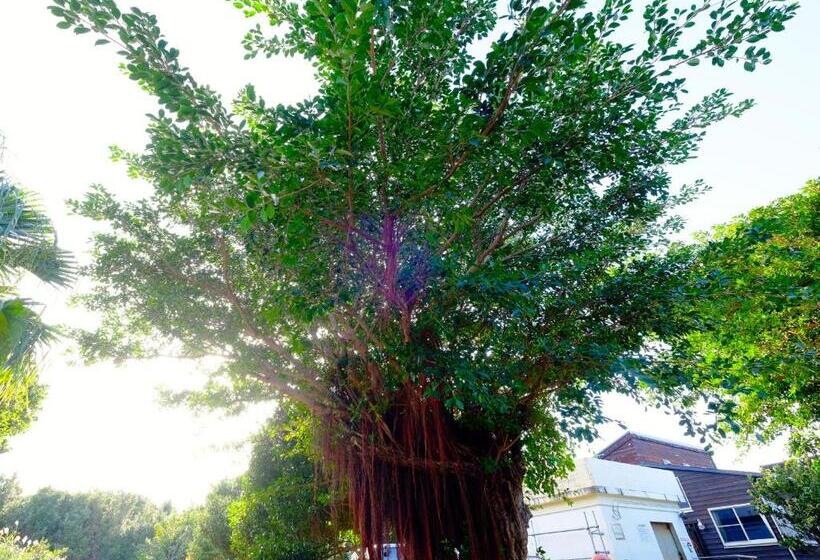 日式旅馆 Kokumin Shukusha Sun Marina