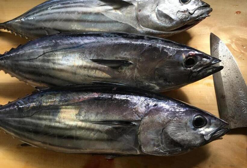 ريوكان Kokumin Shukusha Sun Marina