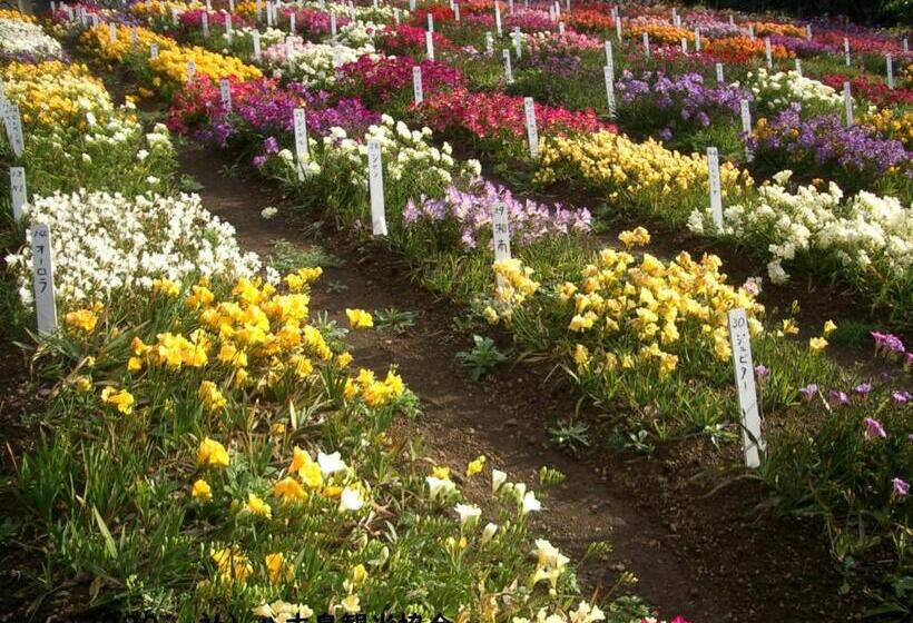 ريوكان Kokumin Shukusha Sun Marina