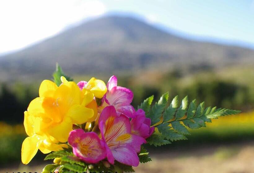 ريوكان Kokumin Shukusha Sun Marina