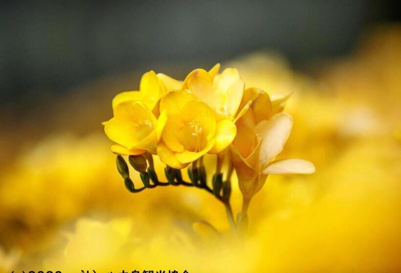 日式旅馆 Kokumin Shukusha Sun Marina