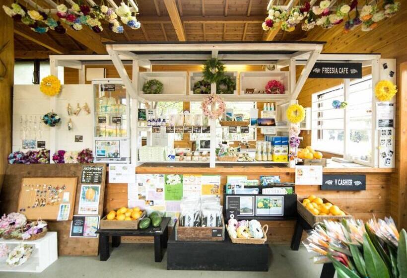 日式旅馆 Kokumin Shukusha Sun Marina