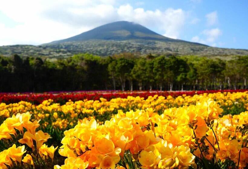 ريوكان Kokumin Shukusha Sun Marina