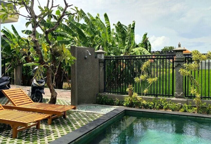 Umah Dangin Guesthouse   Hostel