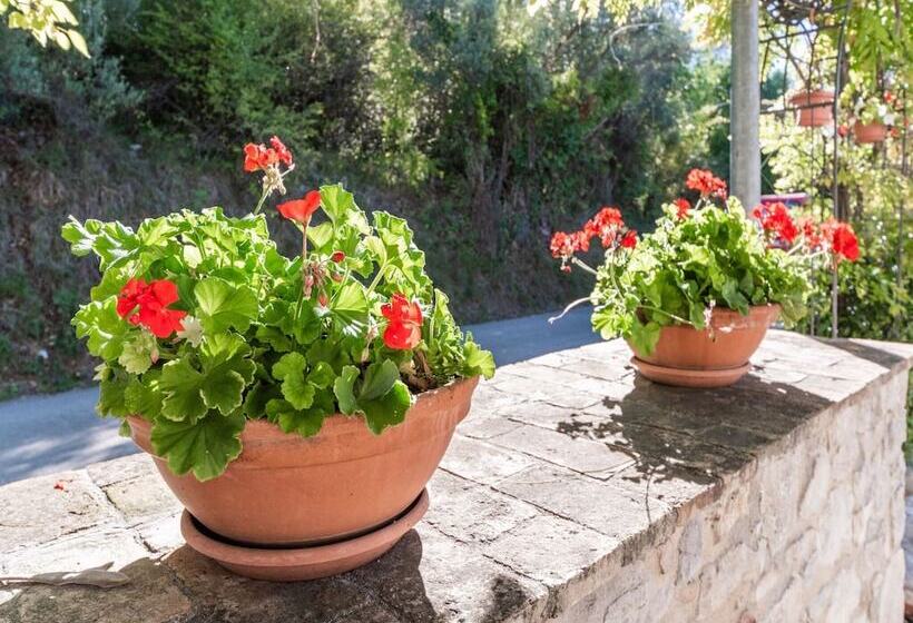 Vibrant Cottage Near Lake In Bomba