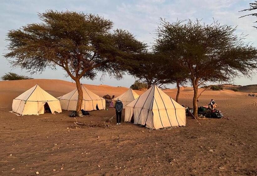 Общежитие Dar Talmoudi