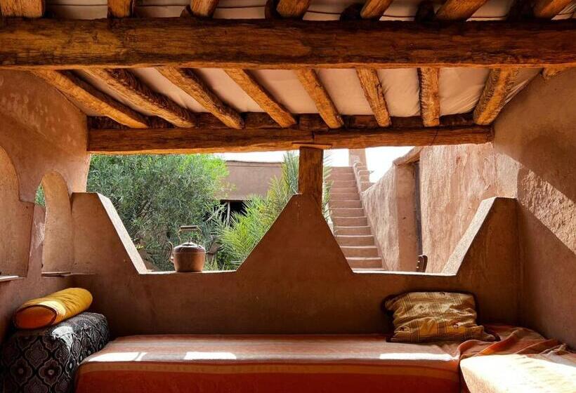 هاستل Dar Talmoudi