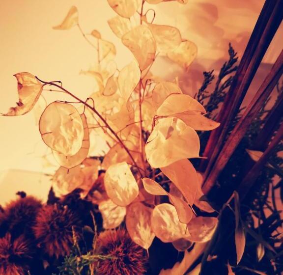 Bed and Breakfast Casa Do Castelo