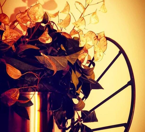 Bed and Breakfast Casa Do Castelo