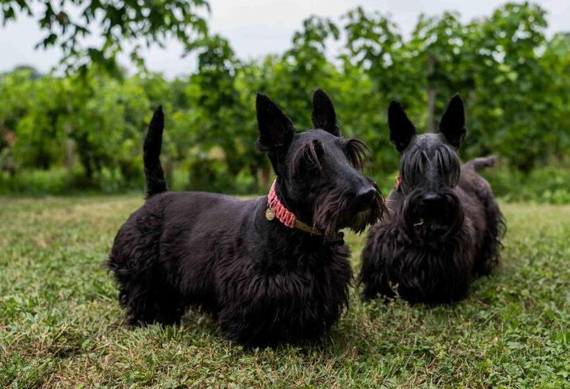 צימר Clos De La Barbanne
