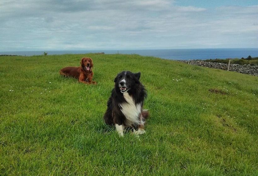 مبيت وإفطار Trean House