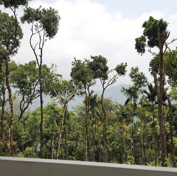 ベッドアンドブレックファースト Tree Blanche Munnar