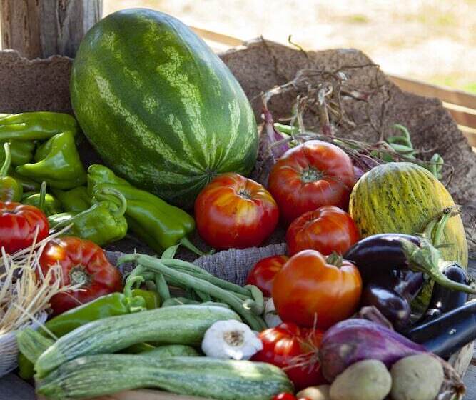 צימר Villa Kirssis