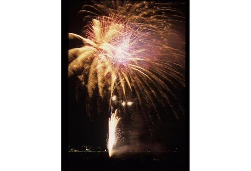 Central Hotel Toride