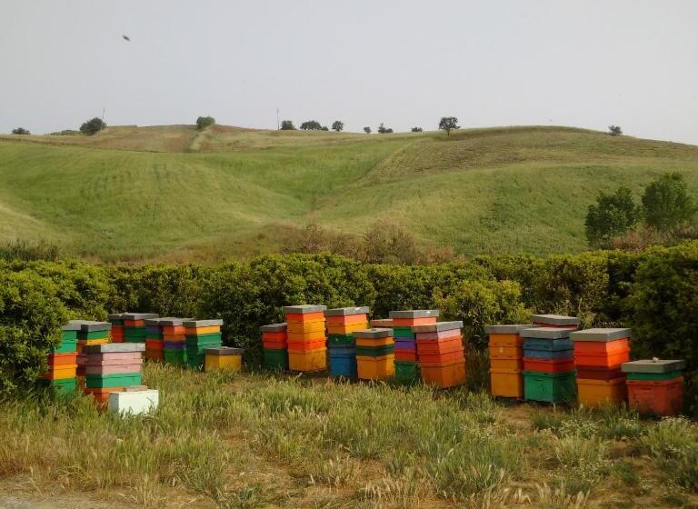 客栈  Agriturismo Trappeto Vecchio