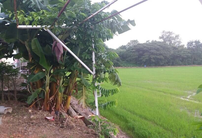 ホテル 7 Up Resort