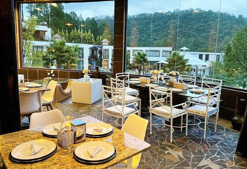 Отель And Suites Mansion San Antonio