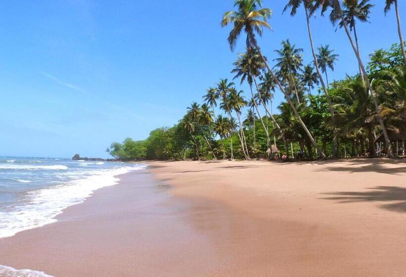 فندق Ankobra Beach Resort