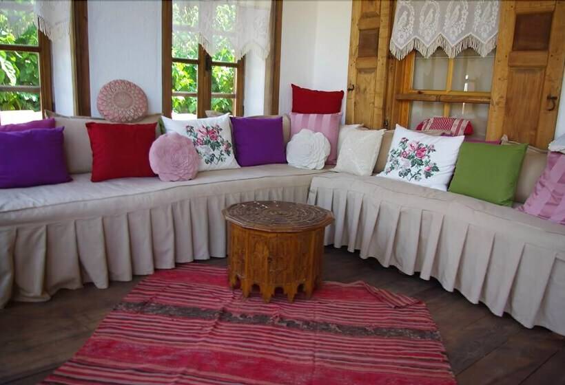 Birgi Hotel Saliha Hanim Tas Konak