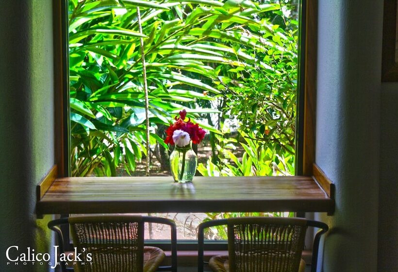 فندق Calico Jack S Village