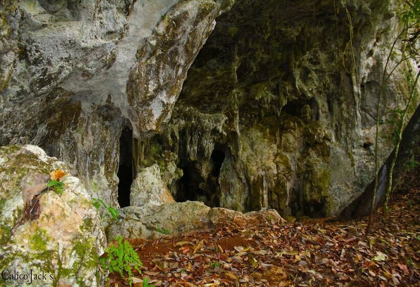 فندق Calico Jack S Village