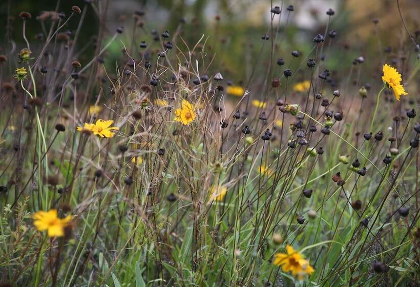 בית מלון כפרי Château D Harcelaines