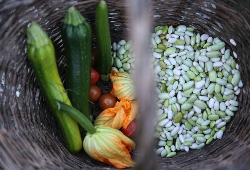 בית מלון כפרי Château D Harcelaines