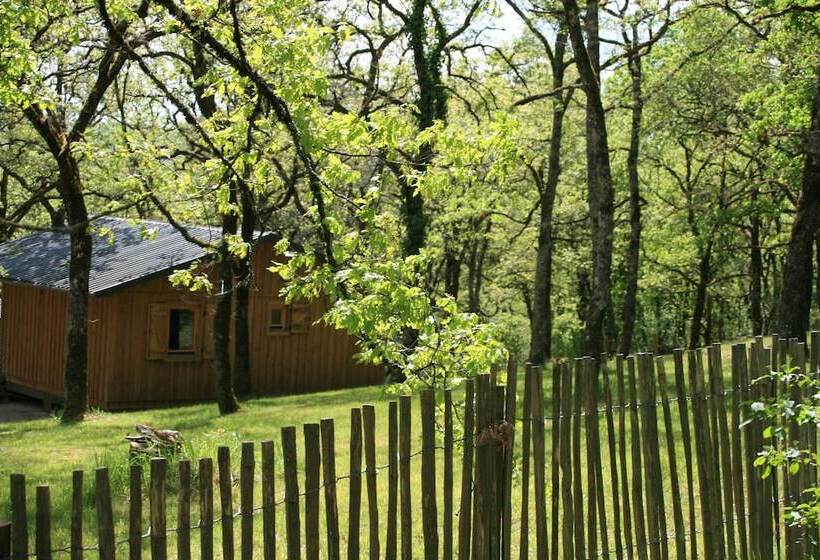 Отель Château De Termes