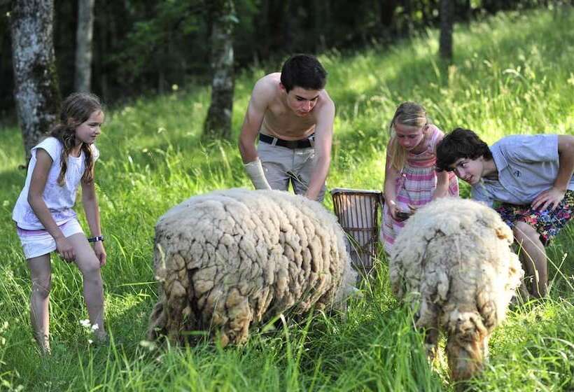Отель Château De Termes