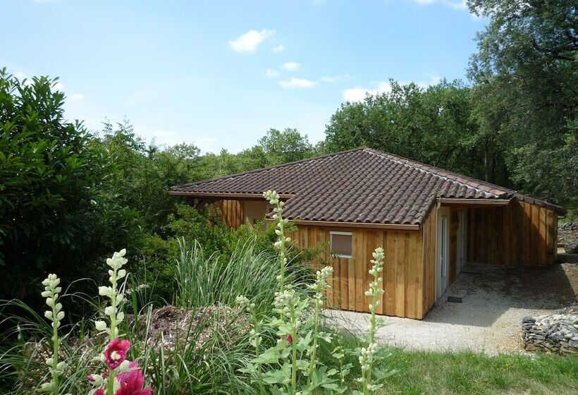 Отель Château De Termes