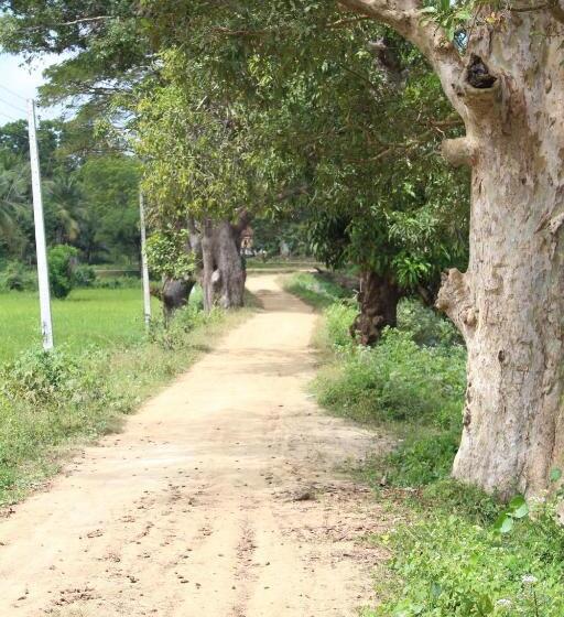 בית מלון כפרי Cocoworld Bungalow