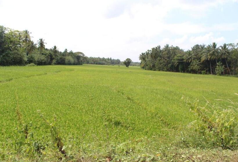 בית מלון כפרי Cocoworld Bungalow