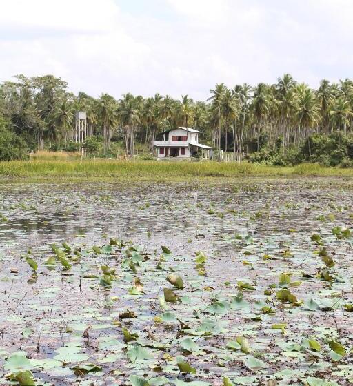 בית מלון כפרי Cocoworld Bungalow