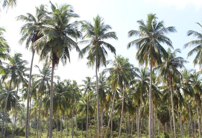 בית מלון כפרי Cocoworld Bungalow