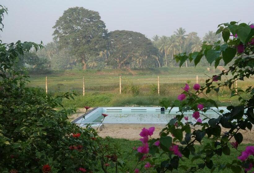 בית מלון כפרי Cocoworld Bungalow