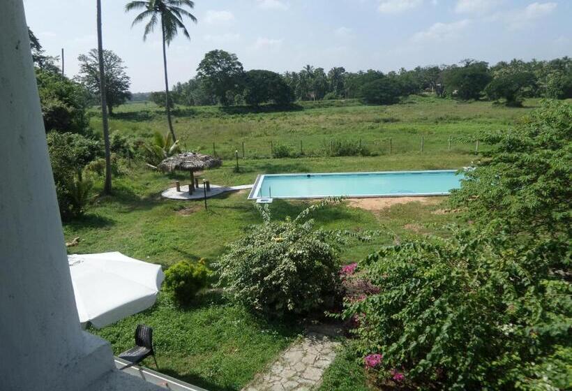 בית מלון כפרי Cocoworld Bungalow