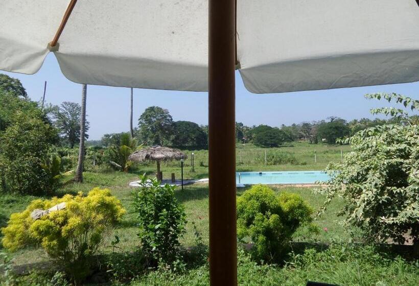 בית מלון כפרי Cocoworld Bungalow