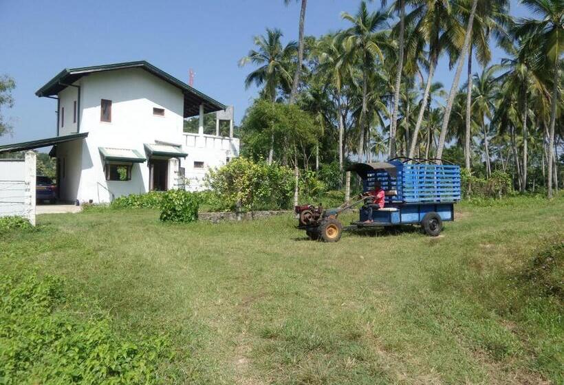 בית מלון כפרי Cocoworld Bungalow