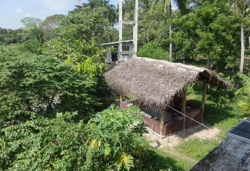 בית מלון כפרי Cocoworld Bungalow