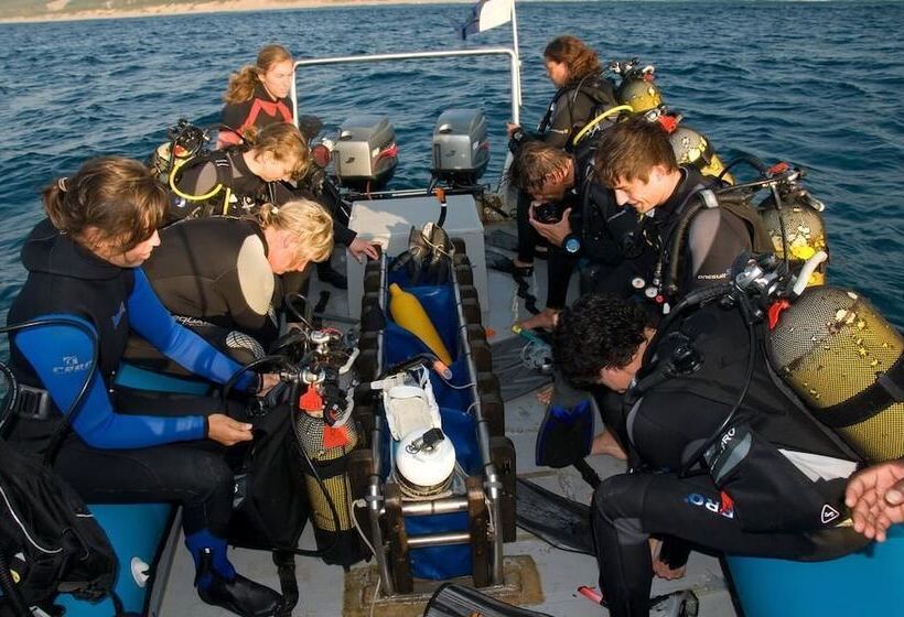 בית מלון כפרי Coral Divers