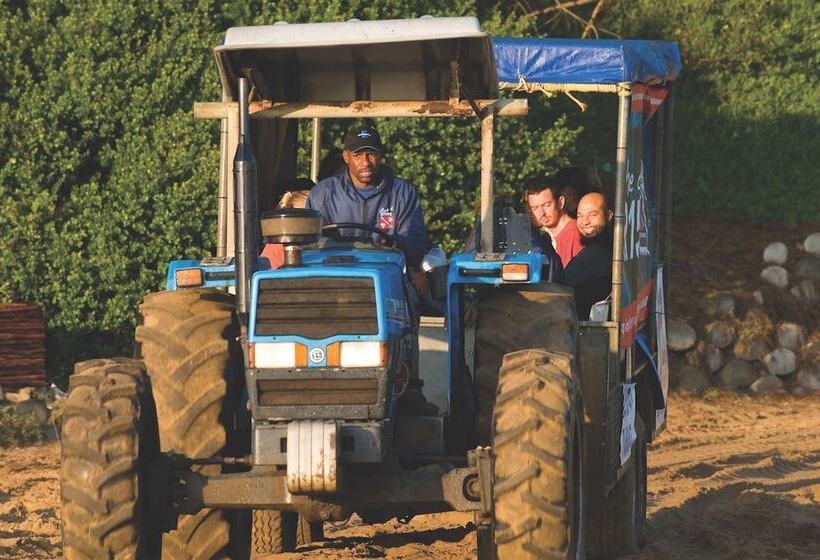 בית מלון כפרי Coral Divers