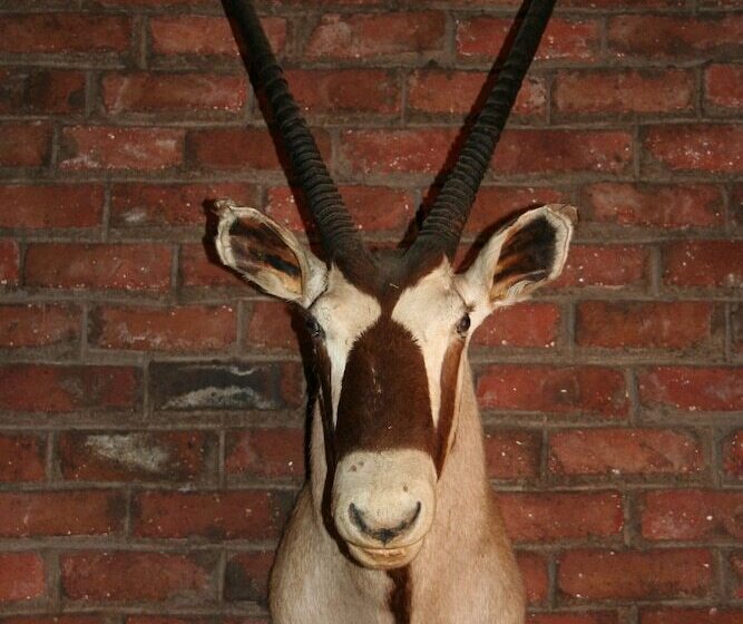 호텔 Ebenhaeser Guest Farm